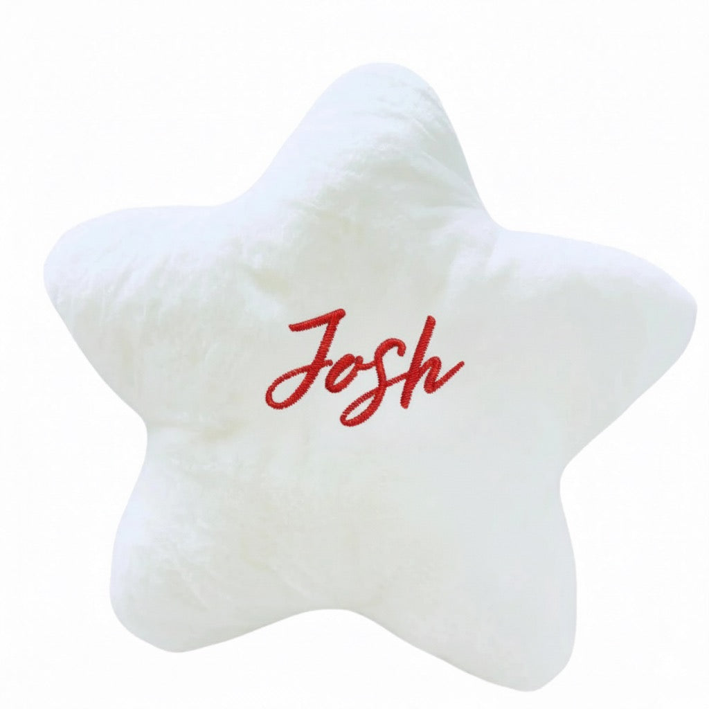 Christmas Star Pillow